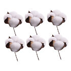  6 Pcs White Bamboo Wallet Brass Chain Connectors Flower Vases