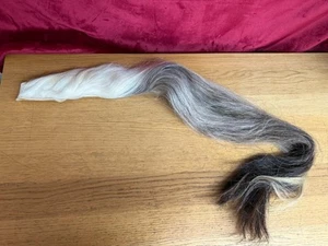 CABELLO DE CABALLO MECEDOR PARA RESTAURAR Gris y Rubio Mezcla Cabello de Caballo Grande Piel Antiguo - Imagen 1 de 9