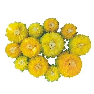 Yellow Paper Flowers 12 pcs for Wedding Backdrop Baby Shower Bridal Shower Nu... - Picture 1 of 4