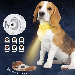USB Rechargeable Dog Collar Lights with 6 Replaceable Projection Slides, - Picture 1 of 7