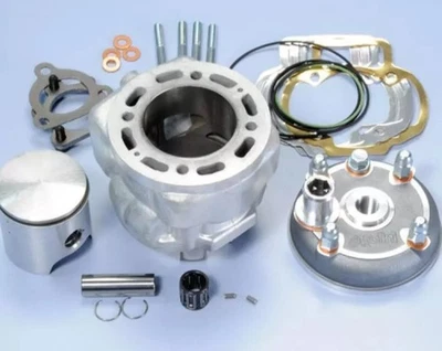 140.0208 GRUPPO TERMICO POLINI BIG EVO 94CC D.52 PIAGGIO ZIP SP 50 2T LC 2001->  - Immagine 1 di 4