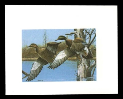 NH2 New Hampshire State Duck Stamp Proof - Image 1 of 2