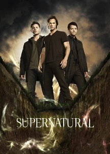 SUPERNATURAL Season 8 Framed Poster - 11x17 13x19 | NEW USA - Picture 1 of 6