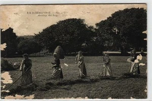 IN DER NORMANDIE - Landszene - Die Rückkehr des Heus - Bild 1 von 1