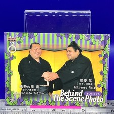 Kisenosato Yutaka Takayasu Akira 77 Sumo Wrestler Card BBM 2018 TCG Japan #235a