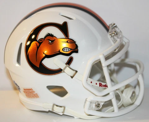 2020 Campbell Camels Custom Riddell Mini Helmet vs Georgia Southern Cover