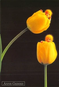 Postkarte: Babys in Tulpen, Anne Geddes, 4x6 - Bild 1 von 2