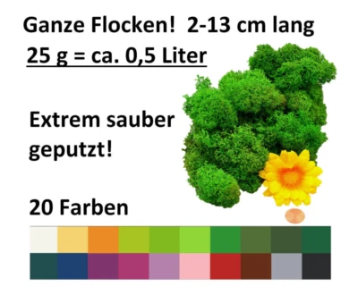 Muwse 25g kein Dreck sauberes Rentier- Islandmoos ganze Flocken gefärbt haltbar - Bild 1 von 3