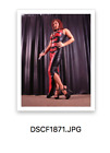 Teresa May 5 x 7 inch Professionally Taken Photo DSCF1871
