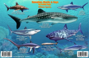 Hawaiian Sharks & Rays Waterproof Hawaii Fish Card by Franko Maps - Imagen 1 de 2