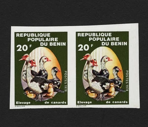 OPC 1978 Benin Ducks Imperf Pair Sc#413 MNH - Picture 1 of 1