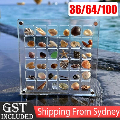 Acrylic Magnetic Seashell Display Box, 36/64/100Grids Seashell Display Organizer - image 1 of 4
