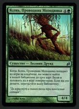***1x FOIL Russian Seedguide Ash*** MTG Lorwyn -Kid Icarus-