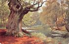 BURNHAM BEECHES - THE LAKE - POSTED 1908 ~ A VINTAGE POSTCARD #233894