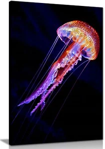 Colorful Glowing Jellyfish underwater Framed Canvas Print Wall Art Home Decor - Picture 1 of 6