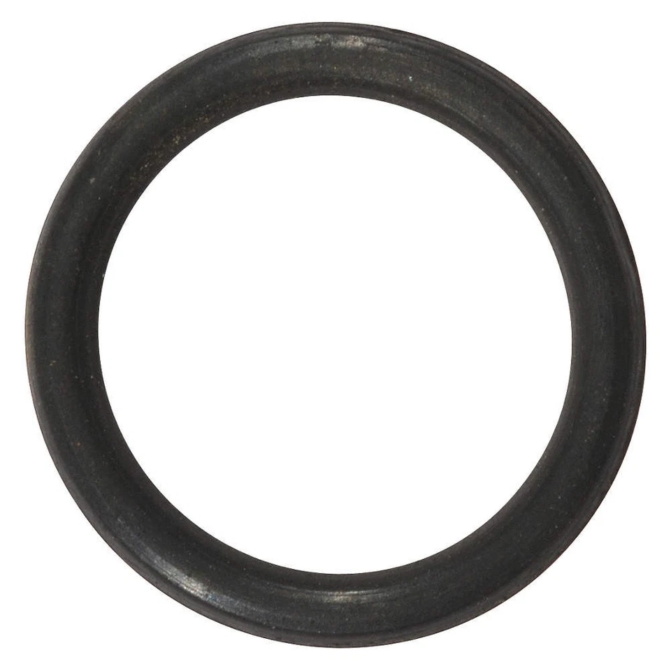 Junta tórica Dayton PP60071G, Viton 23CJ13 Foto 1 de 1
