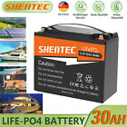 30Ah 12V Lithium Batterie LiFePO4 Akku BMS für Solarbatterie Solaranlage Boot RV