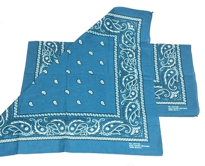 Lote 2 pañuelos vintage azul todo algodón color rápido RN 13960 EE. UU. Foto 1 de 4