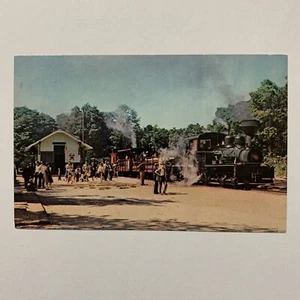 Postcard NJ Farmingdale Pine Creek Narrow Gauge Steam Train  - Picture 1 of 2