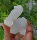 Spécimen de minéraux coralliens cristaux d'apophyllite sur calcédoine #E17