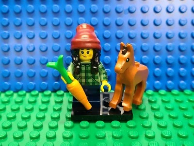 Lego Novio Minifigura Serie 22 Lote 71032 CMF DIFÍCIL DE ENCONTRAR Completo NUEVO Poni Coleccionable  Foto 1 de 4