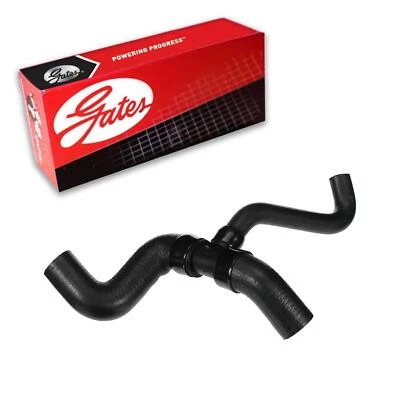 Manguera de refrigerante de radiador Gates inferior para Ford Focus 2000-2004 2L L4 GAS DOHC Foto 1 de 3