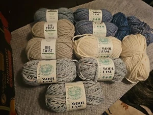 Lion Brand Yarn 6 Wool Ease & 3 Big Twist Thick & Quick 87 yds,5 oz 9 New 3 Used - Picture 1 of 4