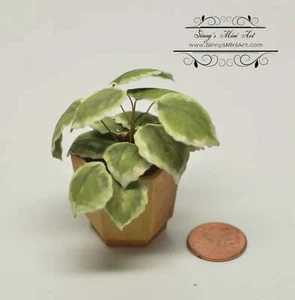 1:12 Dollhouse Miniature Large Hostas Plant Kit - x 3/Miniature Garden DI P307 - Picture 1 of 6