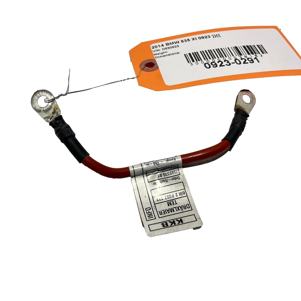 Cable adaptador módulo batería BMW 535i xDrive 2010-2016 OEM Foto 1 de 4