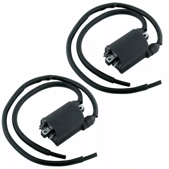 2 件套点火线圈适用于川崎 ZRX1100 ZRx 1100 ZR1100C ZR 1100C 1999-2000 — 第 1/1 张图片