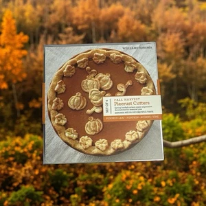 Williams Sonoma Fall Piecrust Cutters Set Of 4  Pumpkin, Vine, Acorn & Leaf NOS! - Picture 1 of 5