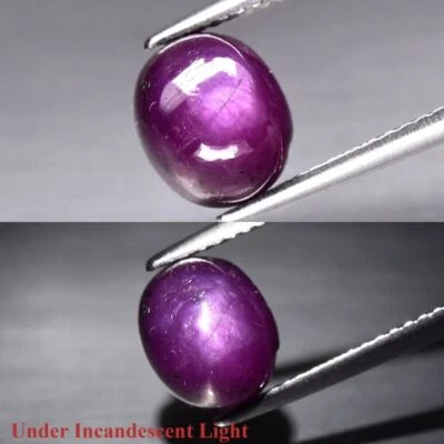 3.54 Ct Natural Purplish Red 6Ray Star Ruby Unheated Oval Cab Gemstone See Video - Image 1 of 3