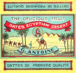 EEBC24024#EGYPT KINGDOM OLD & LARGE LABEL (G. ANTOINE) DATES EGYPTIAN DESERT - Picture 1 of 15