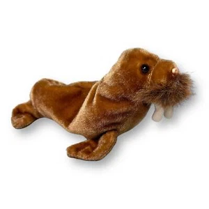 TY Beanie Baby- Paul the Walrus - Picture 1 of 1