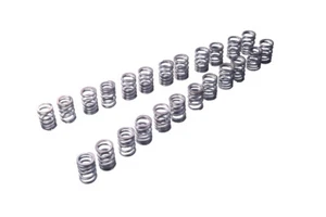 Tomei Powered 24 Valve Spring Set - fits Nissan RB26DETT - Type A - Picture 1 of 2