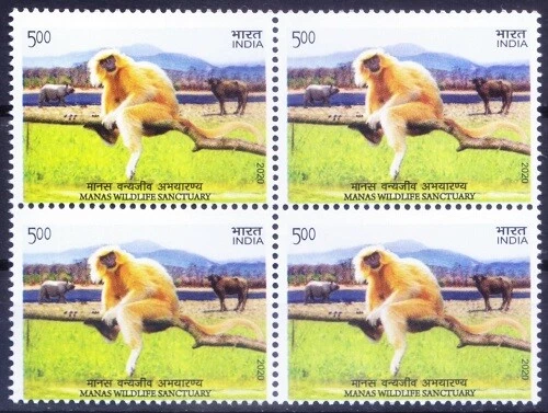 India 2020 MNH negro, Golden Langur, mono, búfalo de agua salvaje, rinoceronte, vida silvestre   Foto 1 de 1