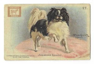 Japanese Spaniel Champion Dog Series Dwight's Soda Small Size #27 1902 - Bild 1 von 2