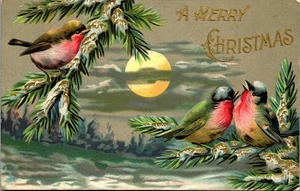 Vintage Christmas Postcard Bullfinch Birds on Gold Gilt Branches Moonlight Moon - Picture 1 of 3