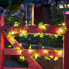 2.9m Solar LED Ivy Leaves Warm White Fairy Firefly Outdoor Garden Fence Lights