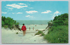 Postkarte Dünen und Ozean Strand Jekyll Island State Park Georgia