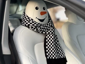 Tesla SnowMan Decals for Seats- Set of 2 - Picture 1 of 4