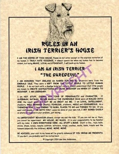 Rules In An Irish Terrier's House - Picture 1 of 1