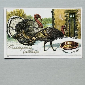 1908 FINE TURKEYS COUPLE Glittered THANKSGIVING Julius Bien 9105 Series 910 - Picture 1 of 7