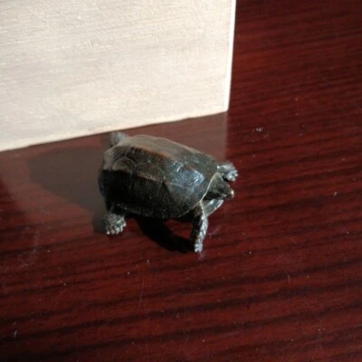 Estatuilla de tortuga de bronce japonesa vintage adorno de exhibición con caja original Foto 1 de 4