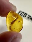 Baltic Amber With 3 Mosquito Inclusion. 100% Real, No Fakes. Uk Seller ????