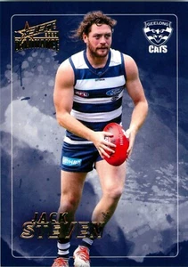 2020 GEELONG CATS AFL Card JACK STEVEN Dominance - Bild 1 von 2
