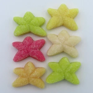 Estrella de mar tropical gomosa de Beulah - Imagen 1 de 3