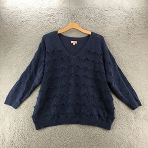 EVRI Plus Size Wavy Pointelle V-Neck Sweater Womens 4X Blue Long Sleeves Knit - Picture 1 of 11