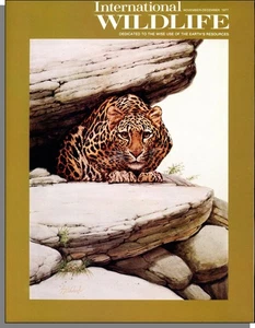 International Wildlife - 1977, November - Hyenas, Snow Goose, German Hunting - Picture 1 of 2