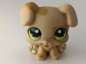 Littlest Petshop Authentic LPS Hund Welpe Puppy Dog Rare #1353 Original Hasbro - Bild 1 von 3